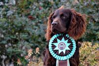Ribbons and Boykins