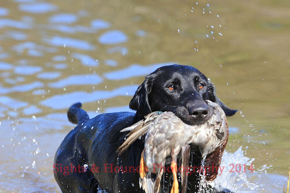 Rudder Morrow