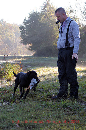 Joel Porter