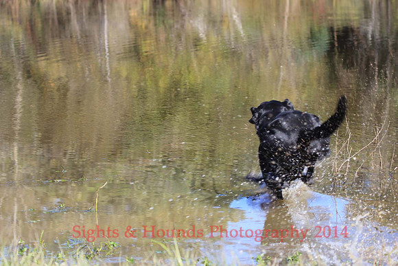 Rudder Morrow