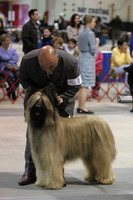 Fayetteville Kennel Club (Sun)